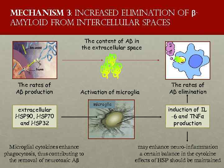 Mechanism 3: increased elimination of βamyloid from intercellular spaces The content of Aβ in