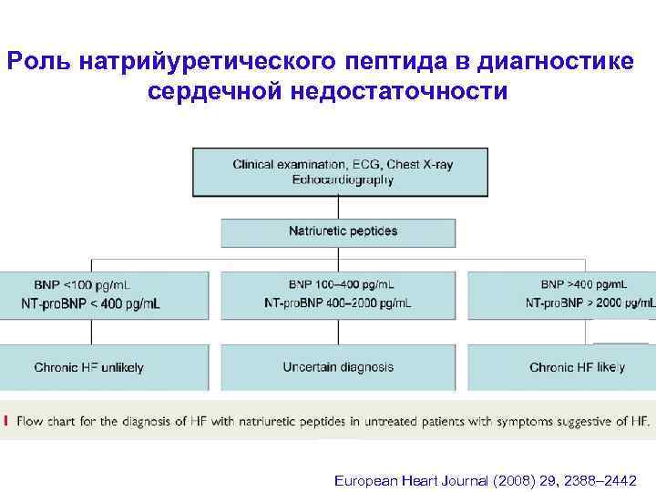 Роль натрийуретического пептида в диагностике сердечной недостаточности European Heart Journal (2008) 29, 2388– 2442