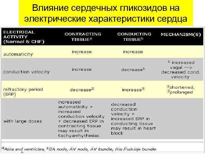 Влияние сердечных гликозидов на электрические характеристики сердца 