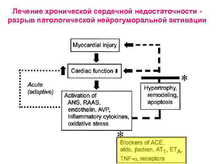 Лечение хронической сердечной недостаточности разрыв патологической нейрогуморальной активации 