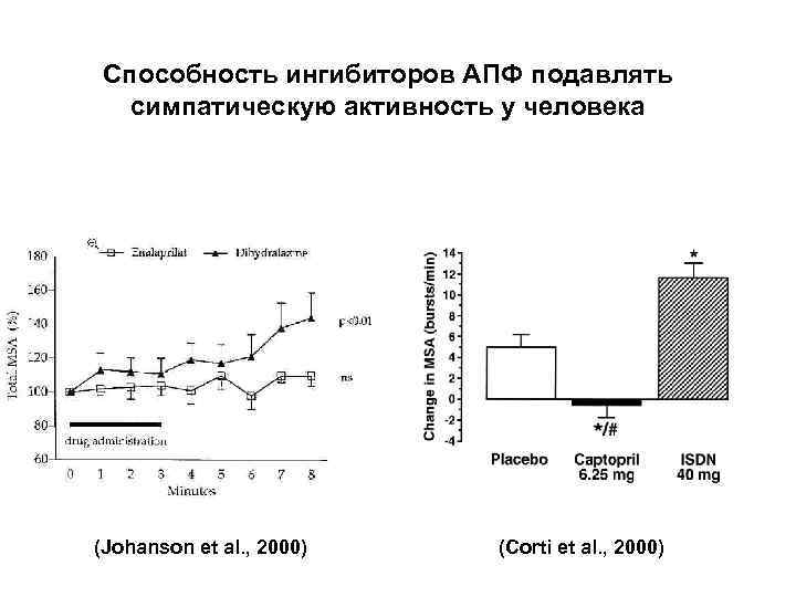 Способность ингибиторов АПФ подавлять симпатическую активность у человека (Johanson et al. , 2000) (Corti