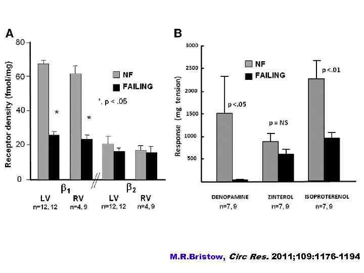 M. R. Bristow, Circ Res. 2011; 109: 1176 -1194 