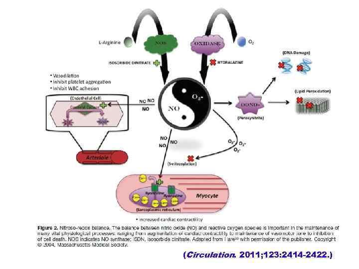 (Circulation. 2011; 123: 2414 -2422. ) 