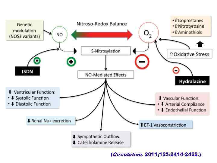 (Circulation. 2011; 123: 2414 -2422. ) 