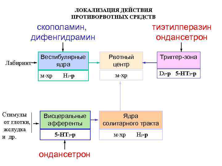 ЛОКАЛИЗАЦИЯ ДЕЙСТВИЯ ПРОТИВОРВОТНЫХ СРЕДСТВ скополамин, дифенгидрамин Лабиринт Вестибулярные ядра м-хр Стимулы от глотки, желудка