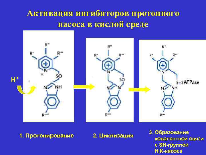 Активация ингибиторов протонного насоса в кислой среде Н+ 1. Протонирование 2. Циклизация 3. Образование