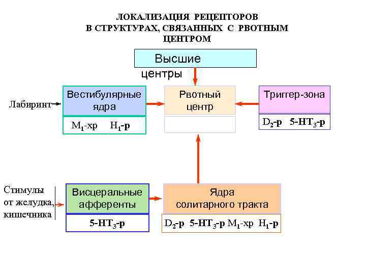 ЛОКАЛИЗАЦИЯ РЕЦЕПТОРОВ В СТРУКТУРАХ, СВЯЗАННЫХ С РВОТНЫМ ЦЕНТРОМ Высшие центры Лабиринт Вестибулярные ядра М