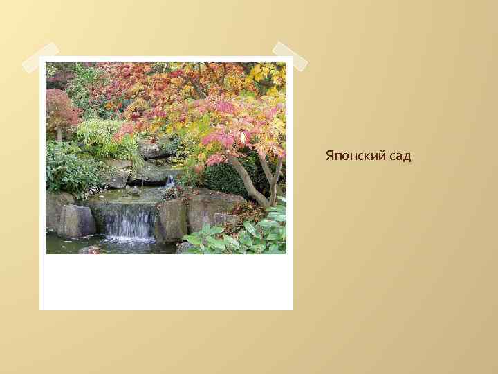 Японский сад 