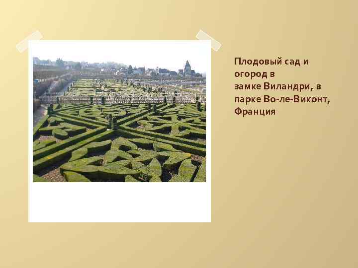 Плодовый сад и огород в замке Виландри, в парке Во-ле-Виконт, Франция 