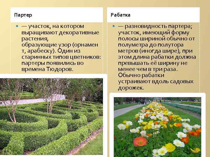Партер — участок, на котором выращивают декоративные растения, образующие узор (орнамен т, арабеску). Один