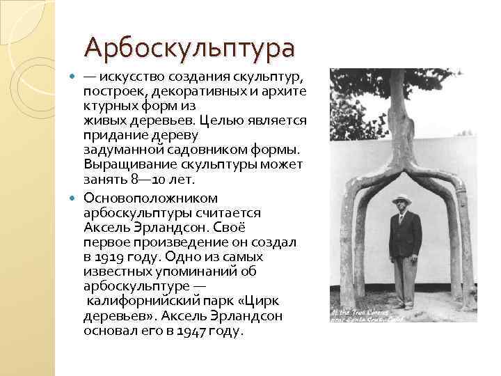 Арбоскульптура — искусство создания скульптур, построек, декоративных и архите ктурных форм из живых деревьев.