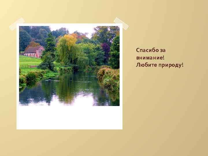 Спасибо за внимание! Любите природу! 