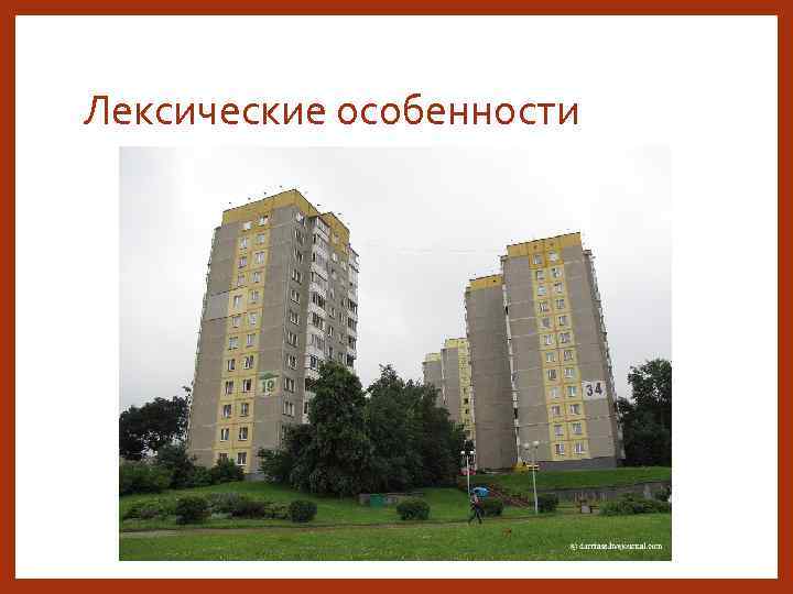 Лексические особенности 