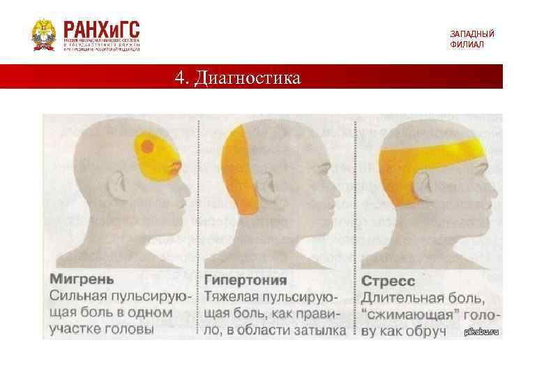 ЗАПАДНЫЙ ФИЛИАЛ 4. Диагностика 