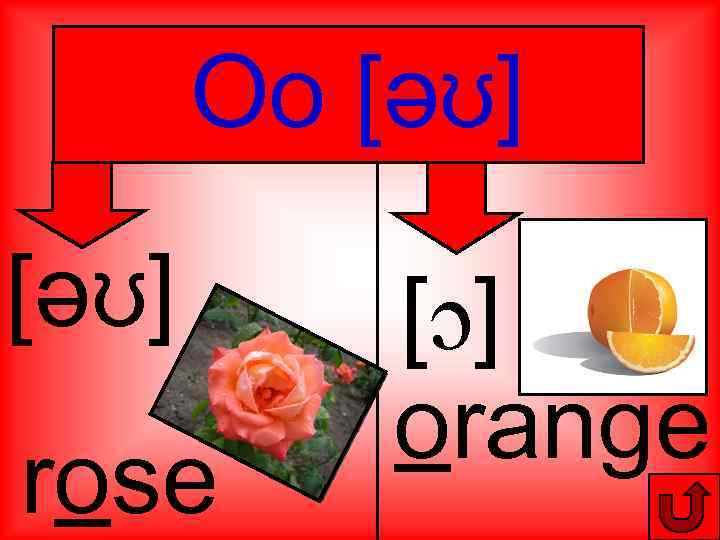 Oo [әʊ] rose [ɔ] orange 