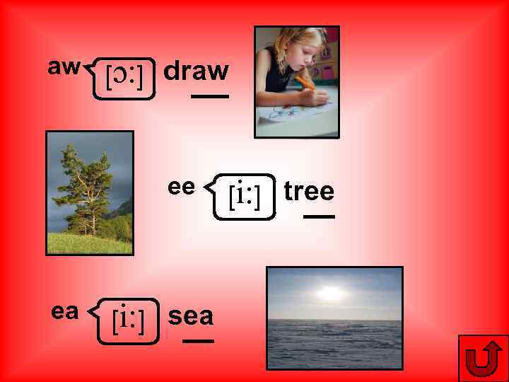 aw [ɔ: ] draw ee ea [i: ] sea [i: ] tree 