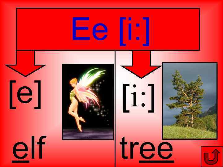 Ee [i: ] [e] [i: ] elf tree 