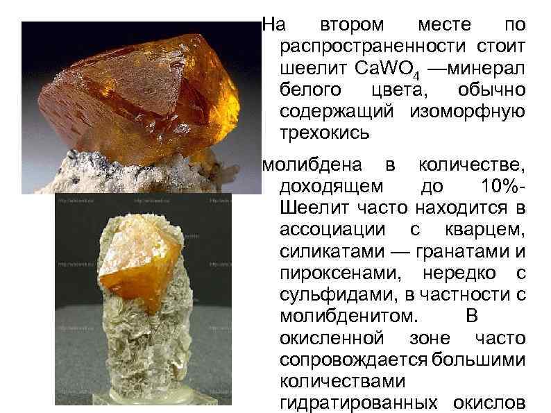 На втором месте по распространенности стоит шеелит Ca. WO 4 —минерал белого цвета, обычно