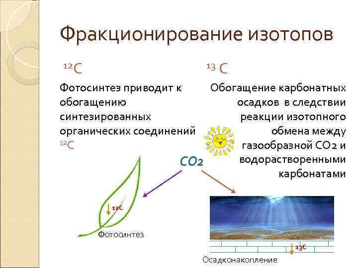 Фракционирование изотопов 12 С 13 С Обогащение карбонатных осадков в следствии реакции изотопного обмена