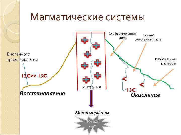 Магматические системы Слабо окисленная Сильно часть окисленная часть Биогенного происхождения Карбонатные растворы 12 C>>