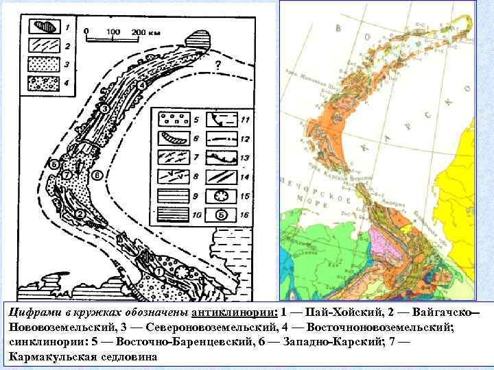 Цифрами в кружках обозначены антиклинории: 1 — Пай-Хойский, 2 — Вайгачско-Нововоземельский, 3 — Североновоземельский,