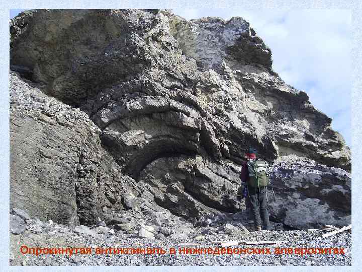 Опрокинутая антиклиналь в нижнедевонских алевролитах 