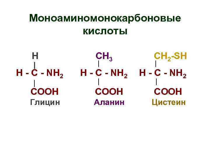 Моноаминомонокарбоновые кислоты H H - C - NH 2 СН 3 H - C