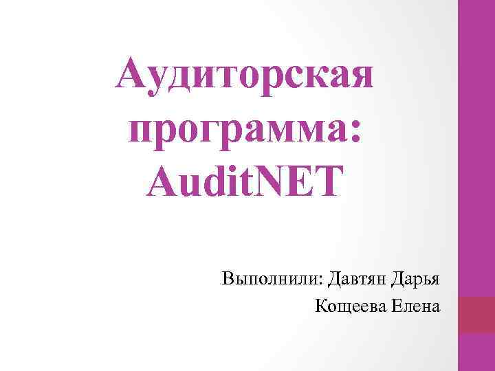 Аудиторская программа: Audit. NET Выполнили: Давтян Дарья Кощеева Елена 