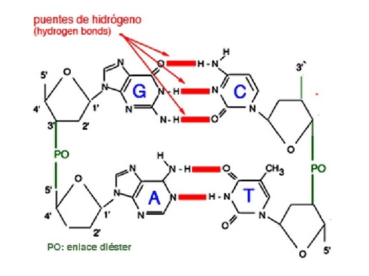 http: //4. bp. blogspot. com/-Q 8 TWa. Tl 06 E/UJOr. KSXbu. DI/AAAAAC c/Qqa. KQYUGNho/s