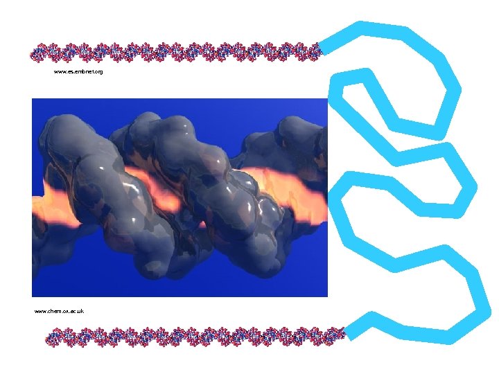 www. es. embnet. org www. chem. ox. ac. uk 