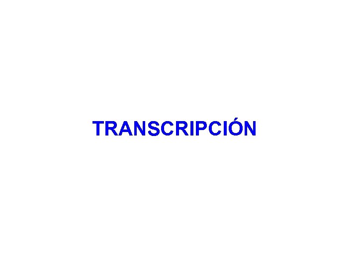 TRANSCRIPCIÓN 