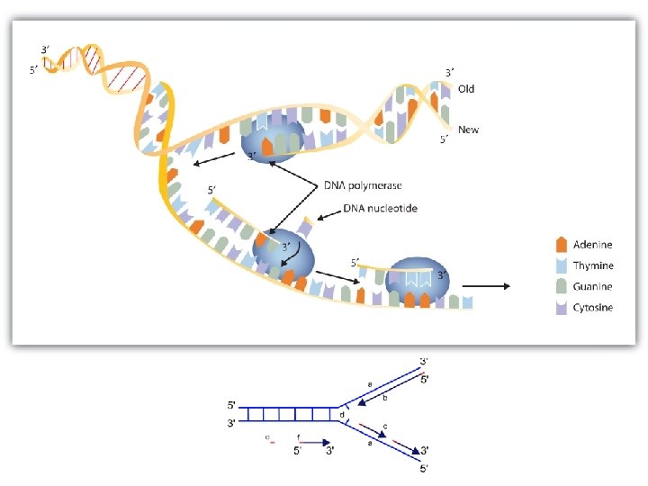 http: //2012 books. lardbucket. org/books/intro duction-to-chemistry-general-organic-andbiological/section_22/1 e 7568634091 da 10 c 866 edc 295
