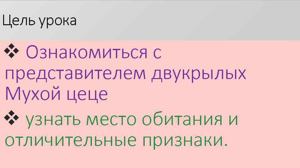 Цель урока v Ознакомиться с представителем двукрылых Мухой цеце v узнать место обитания и