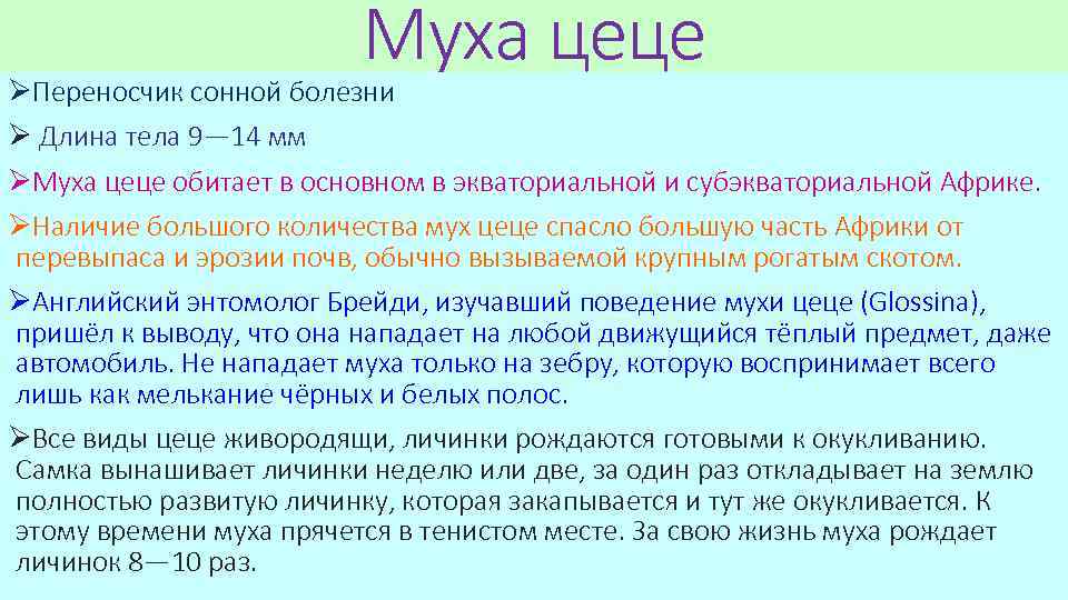 Муха цеце ØПереносчик сонной болезни Ø Длина тела 9— 14 мм ØМуха цеце обитает