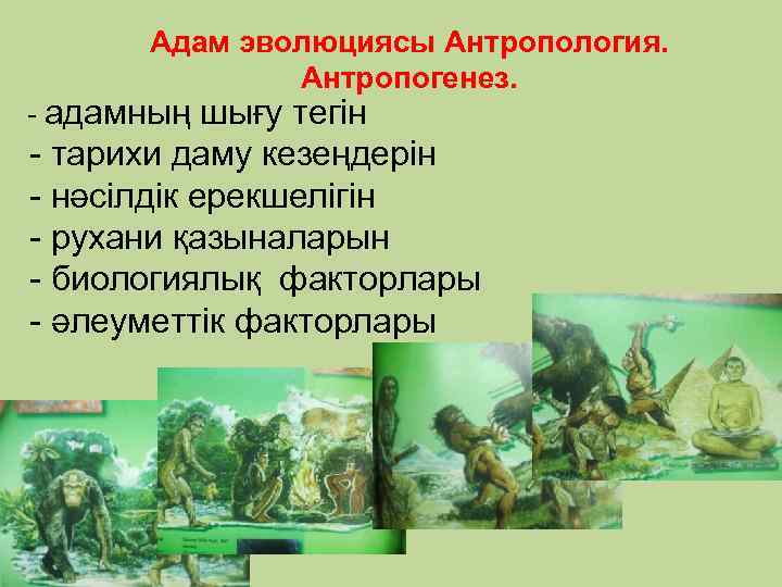 Адам эволюциясы Антропология. Антропогенез. - адамның шығу тегін - тарихи даму кезеңдерін - нәсілдік