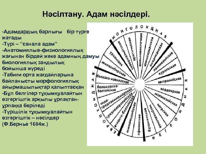 Нәсілтану. Адам нәсілдері. -Адамдардың барлығы бір түрге жатады -Түрі – “санала адам” -Анатомиялыө-физиологиялық жағынан