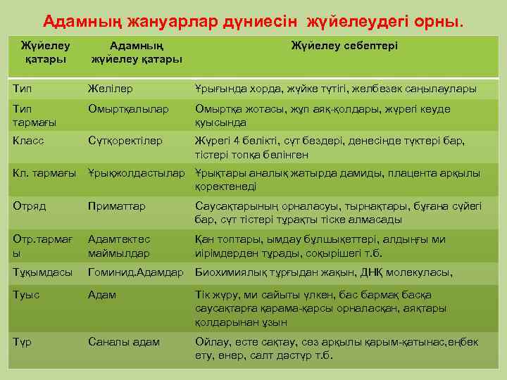 Адамның жануарлар дүниесін жүйелеудегі орны. Жүйелеу қатары Адамның жүйелеу қатары Жүйелеу себептері Тип Желілер