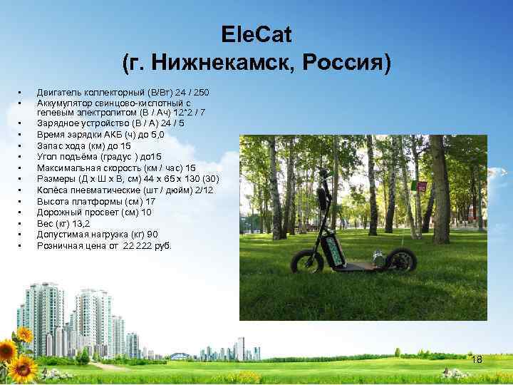 Ele. Cat (г. Нижнекамск, Россия) • • • • Двигатель коллекторный (В/Вт) 24 /