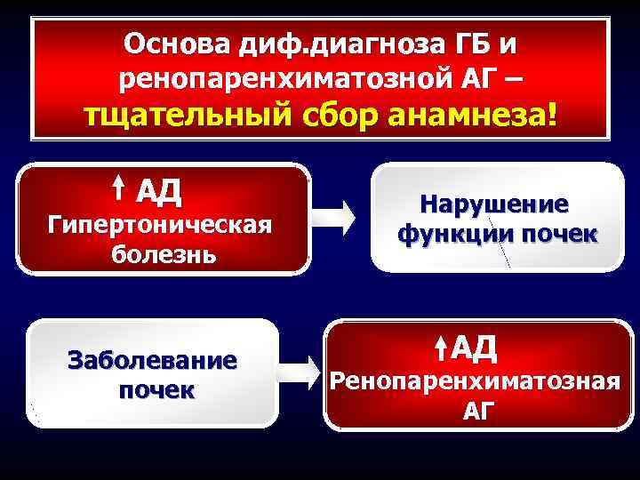 Основа диф. диагноза ГБ и ренопаренхиматозной АГ – тщательный сбор анамнеза! АД Гипертоническая болезнь