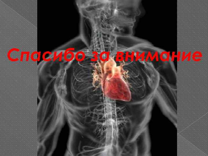 Спасибо за внимание 