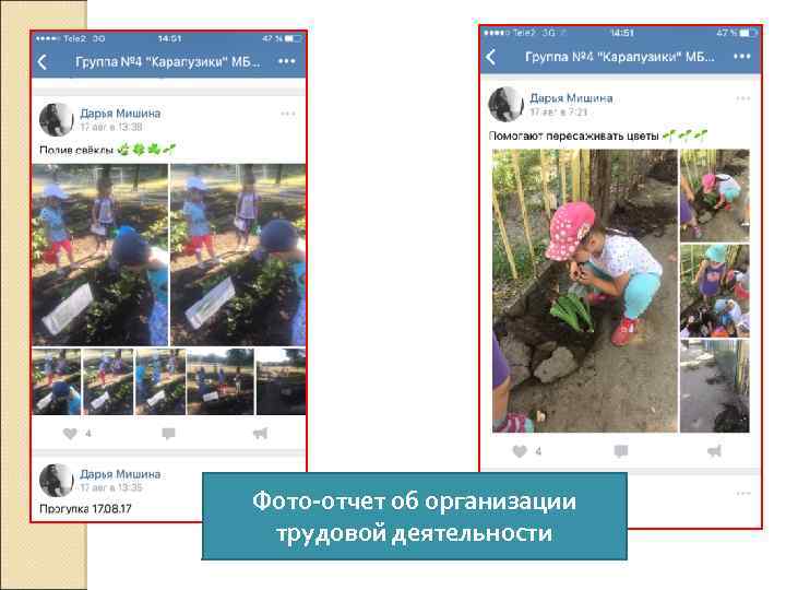 Фото-отчет об организации трудовой деятельности 