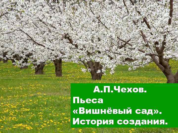 А. П. Чехов. Пьеса «Вишнёвый сад» . История создания. 