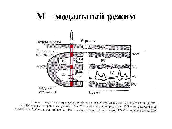 М – модальный режим 