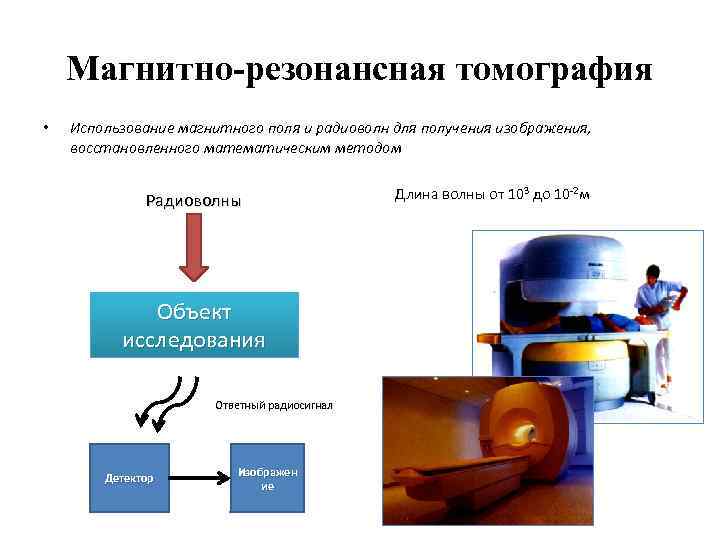 Магнитно-резонансная томография • Использование магнитного поля и радиоволн для получения изображения, восстановленного математическим методом