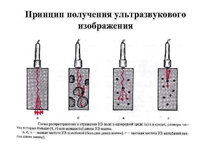 Принципы получения ультразвукового изображения сердца в трех режимах сканирования