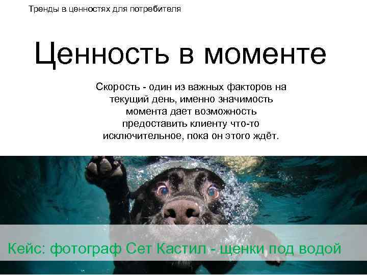 Тренды в ценностях для потребителя Ценность в моменте Скорость - один из важных факторов