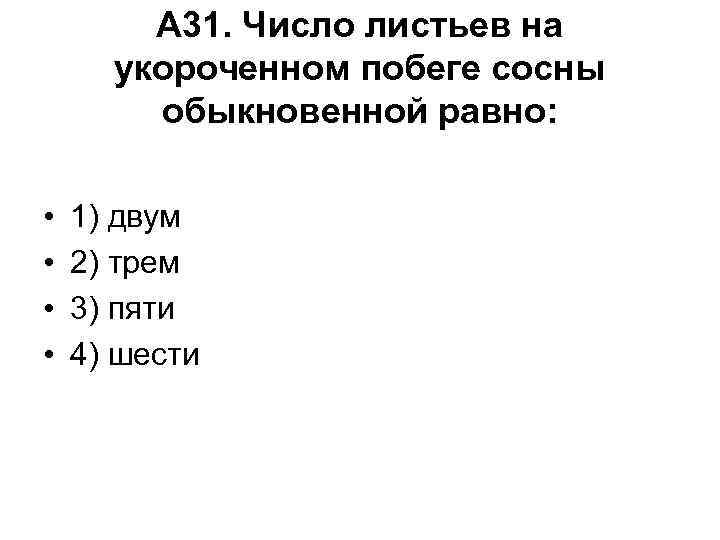 А 31. Число листьев на укороченном побеге сосны обыкновенной равно: • • 1) двум