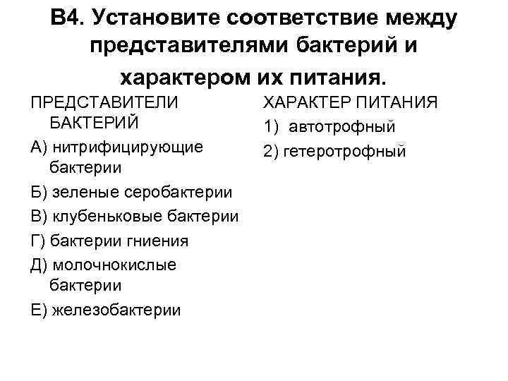 В 4. Установите соответствие между представителями бактерий и характером их питания. ПРЕДСТАВИТЕЛИ БАКТЕРИЙ А)