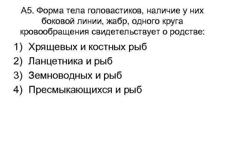 А 5. Форма тела головастиков, наличие у них боковой линии, жабр, одного круга кровообращения