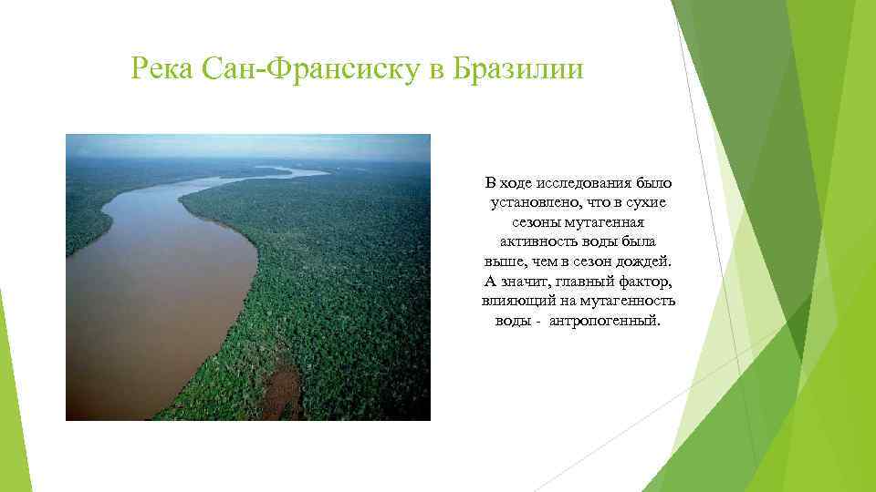 Река Сан-Франсиску в Бразилии В ходе исследования было установлено, что в сухие сезоны мутагенная